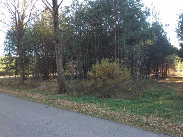 Działka rolno-budowlana Szubienice. Zdjęcie 1