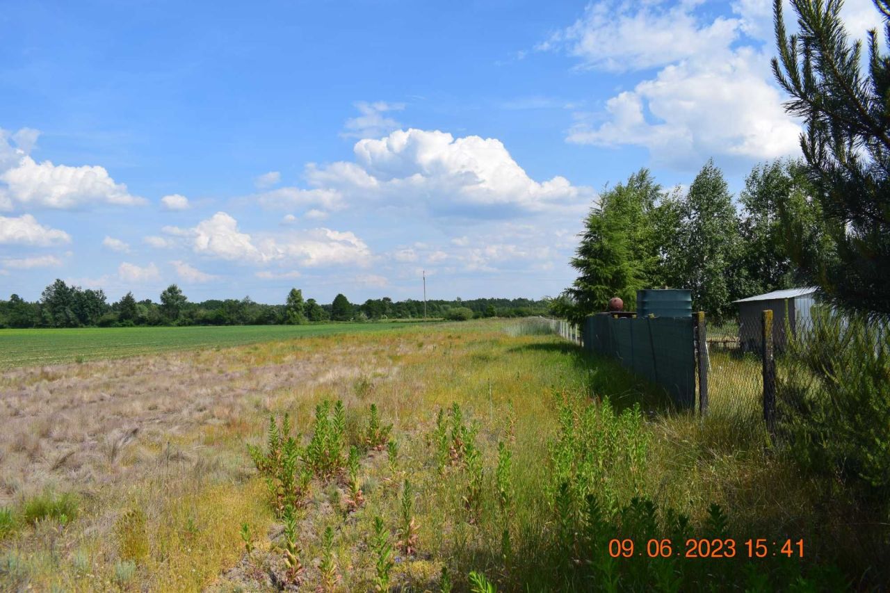 Działka rolna Słubice. Zdjęcie 3