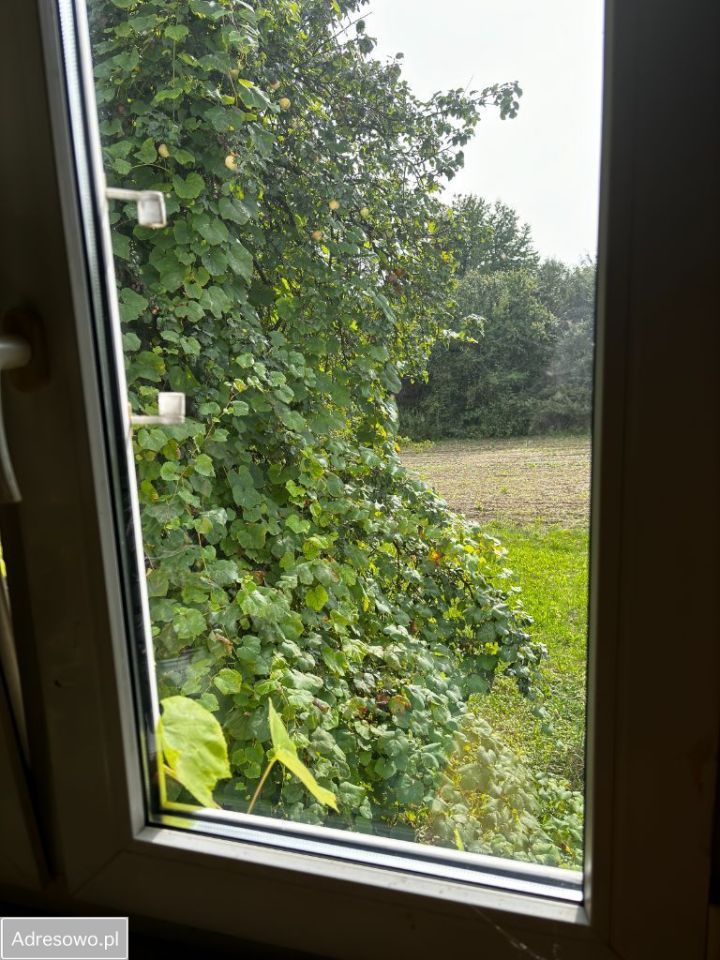 siedlisko, 4 pokoje Radzięcin. Zdjęcie 8