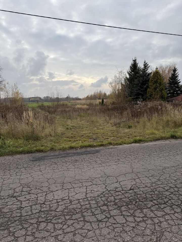 Działka siedliskowa Pniowe. Zdjęcie 3