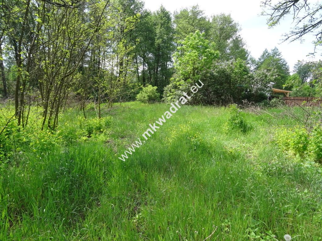 Działka budowlana Waleriany. Zdjęcie 2