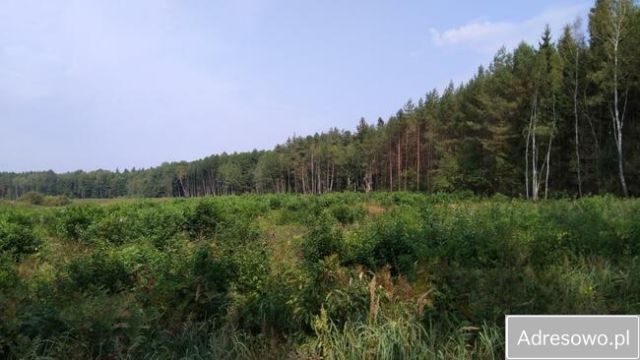 Działka rolno-budowlana Górny Gród. Zdjęcie 1