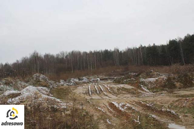 Działka leśna Szymanówka. Zdjęcie 1