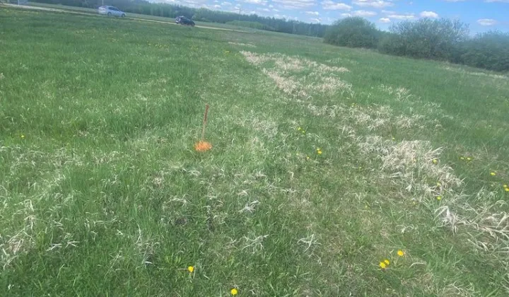 Działka budowlana Chruścice