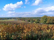 Działka Lipsko-Polesie. Zdjęcie 2