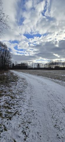 Działka siedliskowa Przychodzko. Zdjęcie 1
