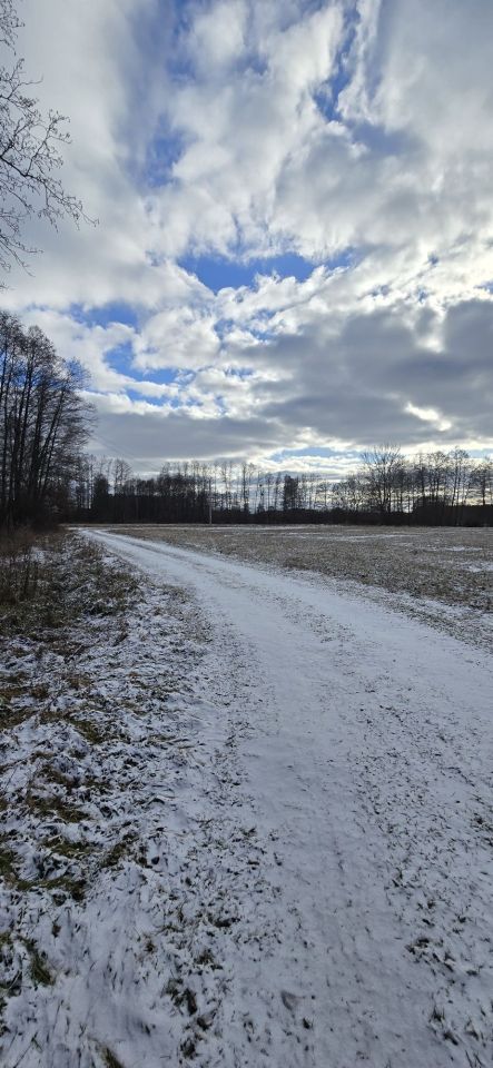 Działka siedliskowa Przychodzko. Zdjęcie 1