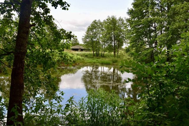 Działka rolna Kraśniany. Zdjęcie 1