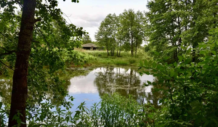 Działka rolna Kraśniany