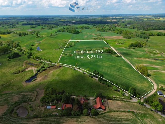 Działka rolna Liwa. Zdjęcie 5