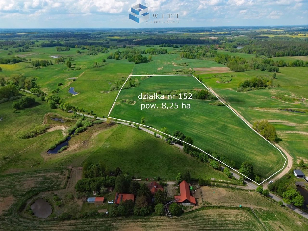 Działka rolna Liwa. Zdjęcie 5