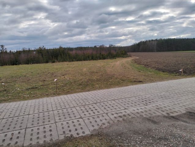 Działka rolno-budowlana Borzechowo. Zdjęcie 1