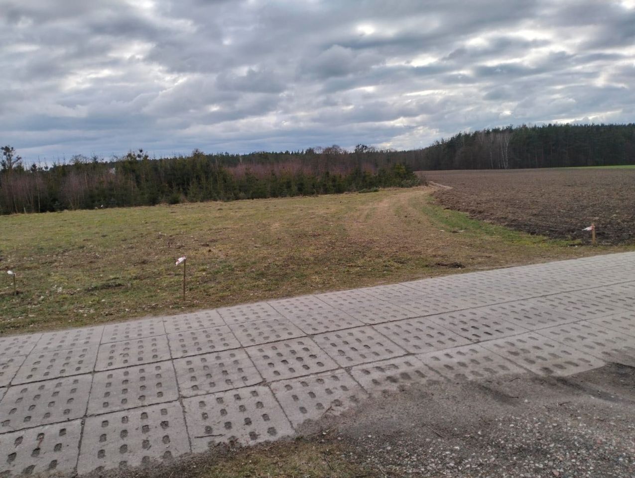 Działka rolno-budowlana Borzechowo