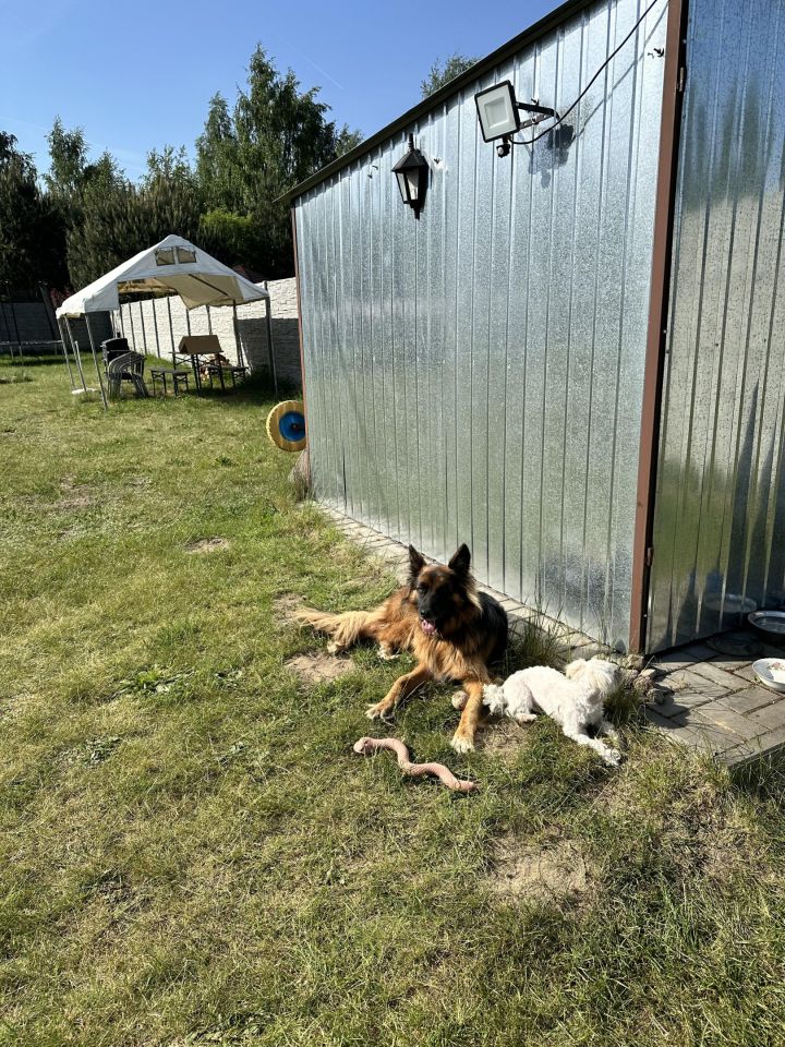 Działka budowlana Lubiaszów Stary Lubiaszów, ul. Jarzębinowa. Zdjęcie 7