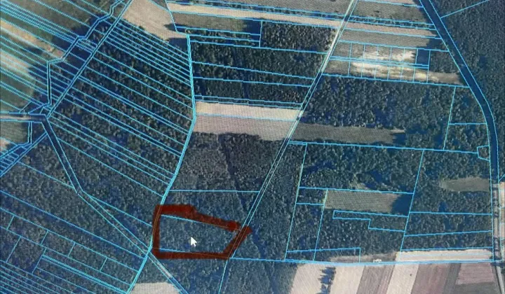 Działka leśna Gostchorz