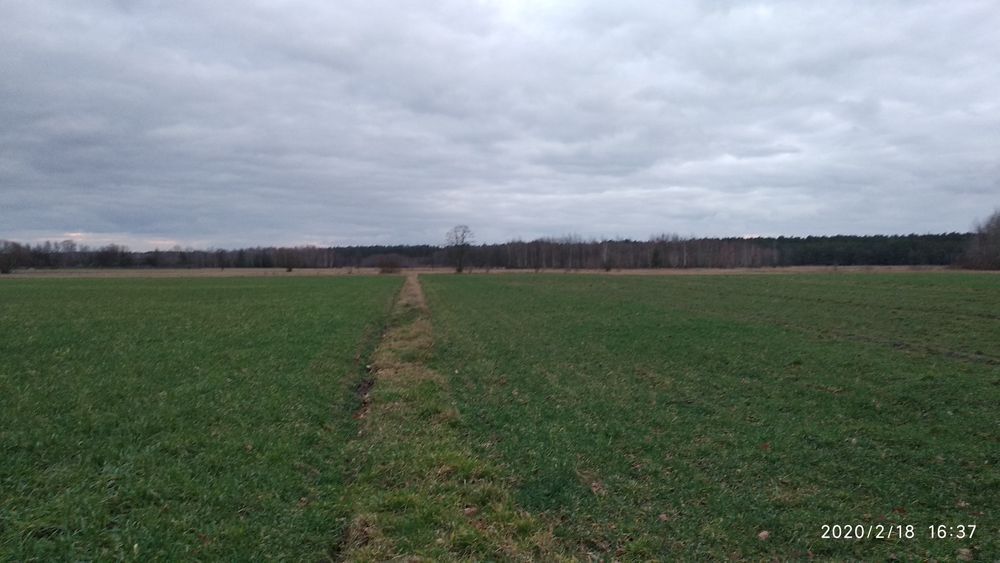 Działka inwestycyjna Księżyki. Zdjęcie 4