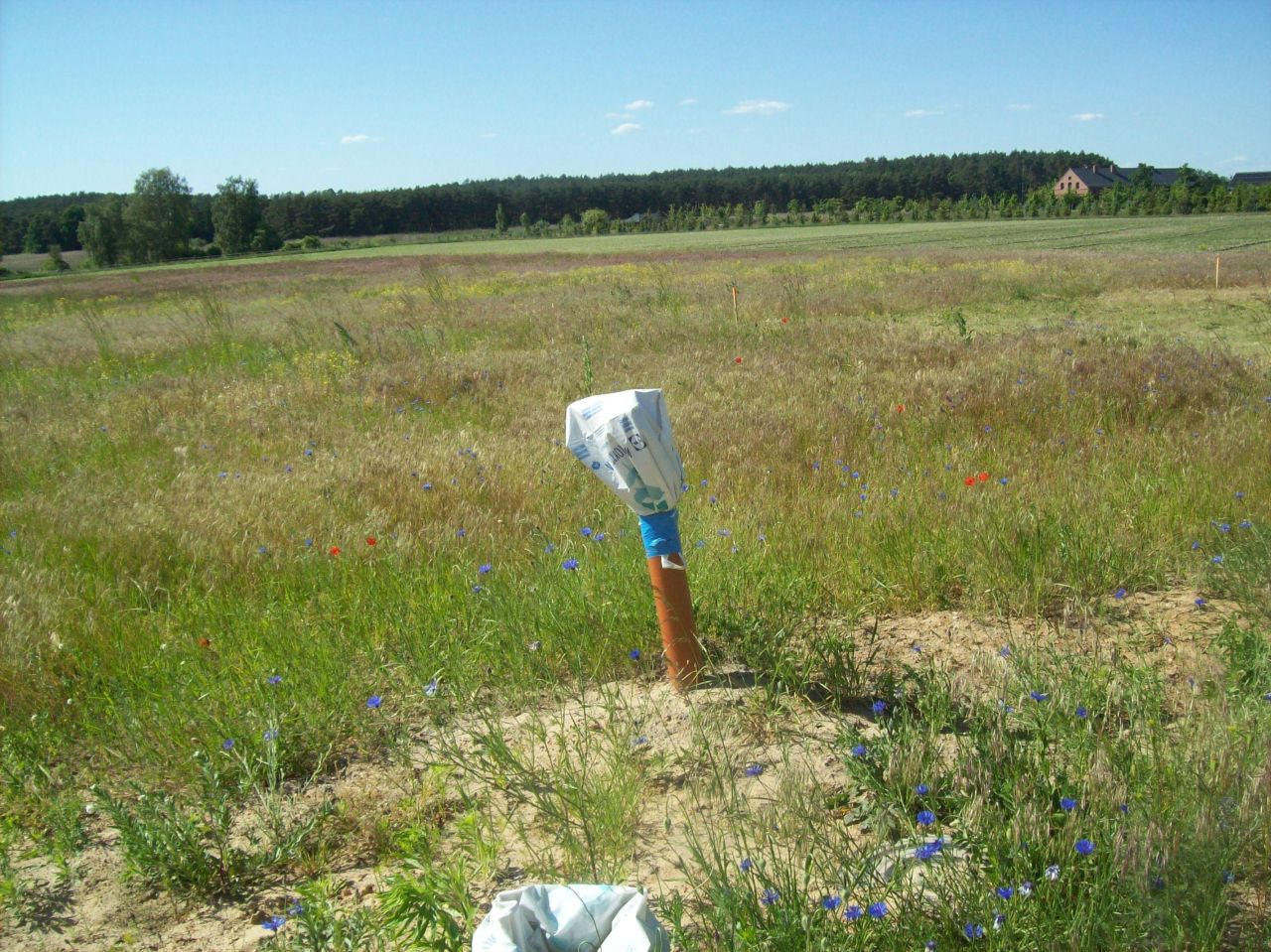 Działka inna Pawłowice, ul. Pawłowicka. Zdjęcie 12