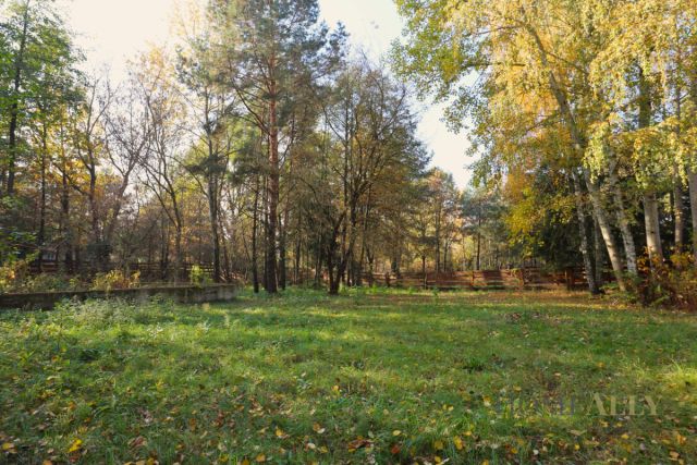 Działka rekreacyjna Zambski Kościelne. Zdjęcie 1