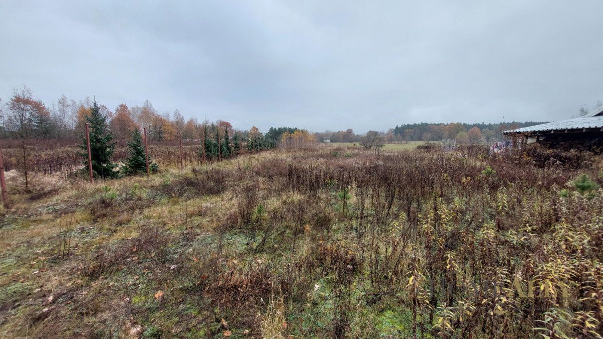 Działka siedliskowa Stanisławów. Zdjęcie 3