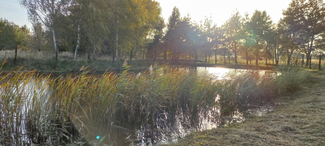 Działka budowlana Korzeńsko, ul. Chodlewska. Zdjęcie 6