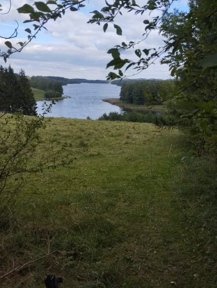 Działka budowlana Wołownia. Zdjęcie 2