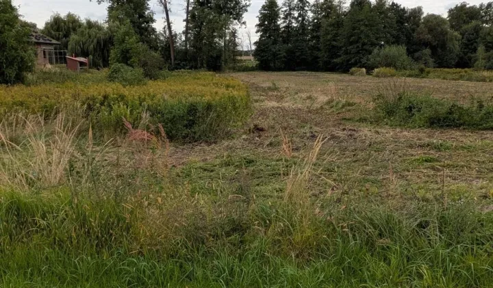 Działka budowlana Bierutów, ul. Jana Kilińskiego