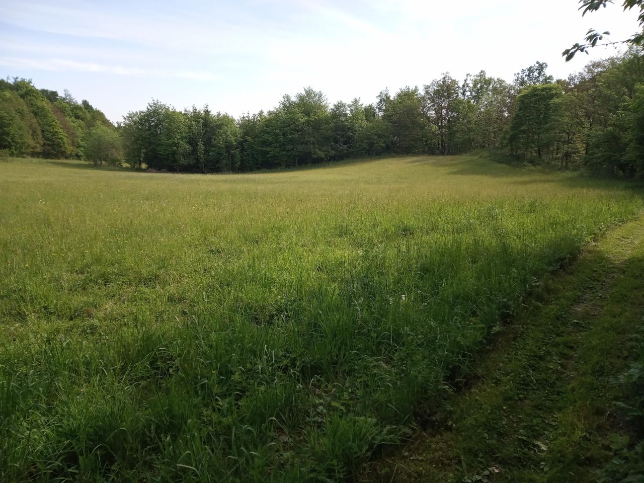 dom wolnostojący Mikołajów. Zdjęcie 14