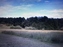 Działka Zawada. Zdjęcie 1