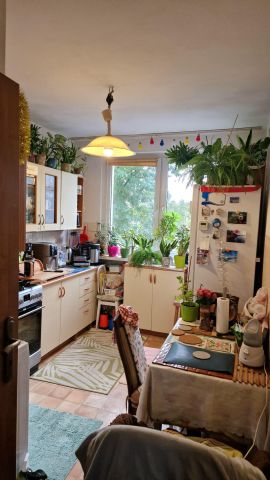 Mieszkanie 2-pokojowe Wrocław Kuźniki, ul. Hermanowska. Zdjęcie 3