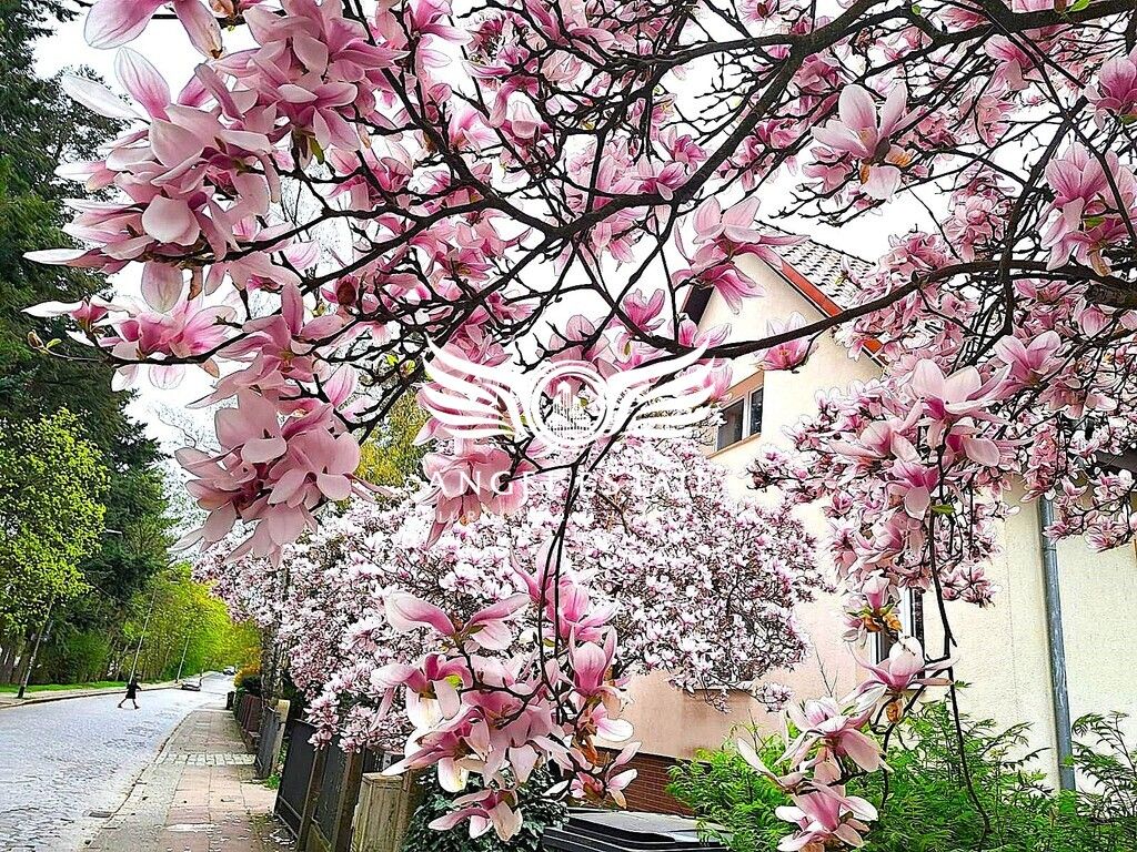 bliźniak, 6 pokoi Szczecin Pogodno. Zdjęcie 19