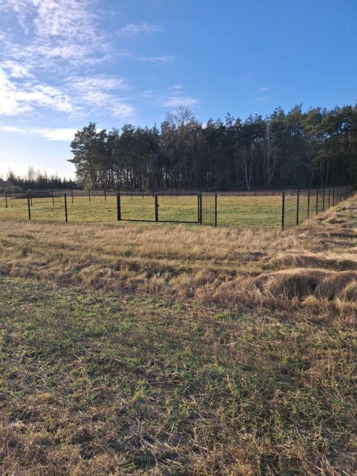 Działka budowlana Zosinki. Zdjęcie 5