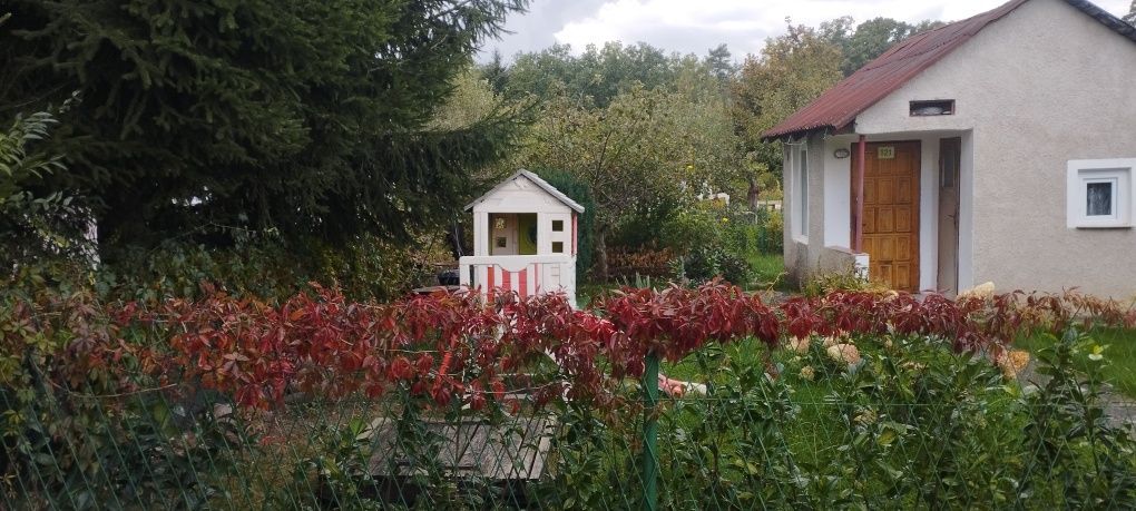 Działka rod Lubin. Zdjęcie 1