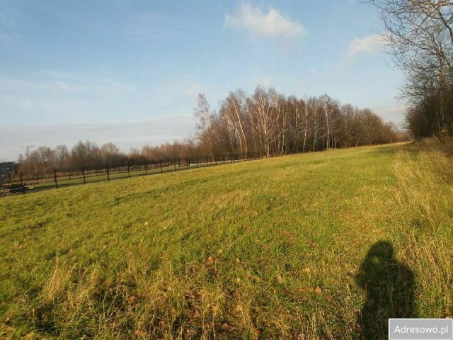 Działka budowlana Szczepańcowa, ul. Miodowa. Zdjęcie 1