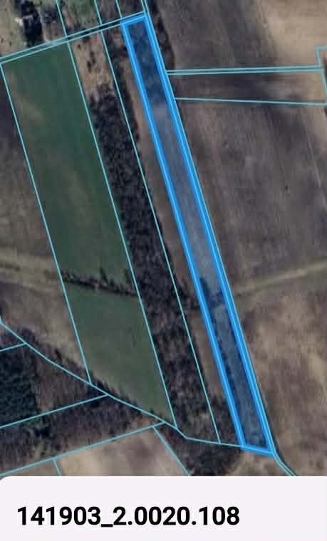 Działka rolna Łukoszyno-Borki. Zdjęcie 2