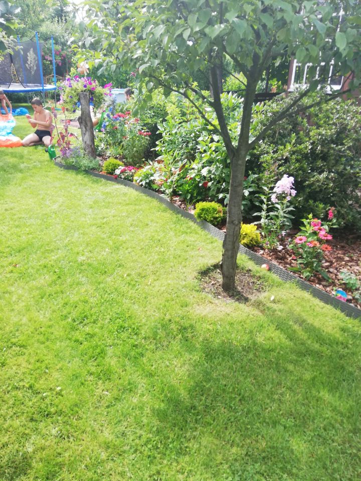 Działka rod Warszawa Bemowo, Dzialka ROD Bemowo II. Zdjęcie 5