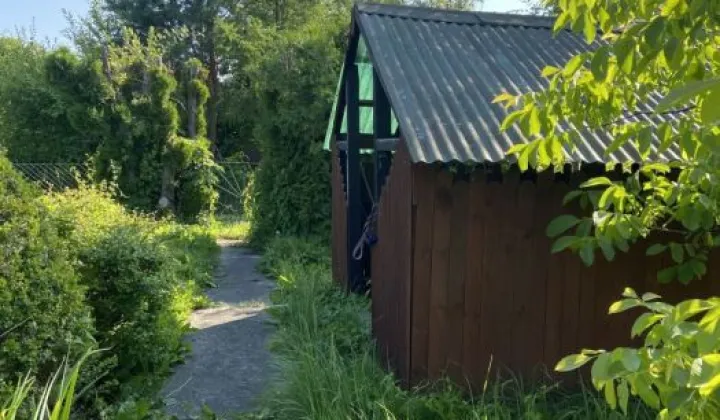 Działka rod Gdańsk Zaspa, ul. Małoogrodowa