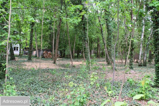 Działka budowlana Podkowa Leśna, ul. Wiewiórek. Zdjęcie 4
