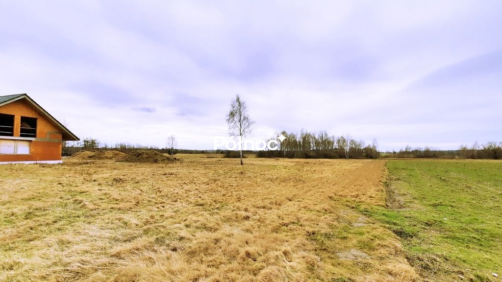 Działka rolno-budowlana Wykroty, ul. Mikołaja Kopernika. Zdjęcie 5