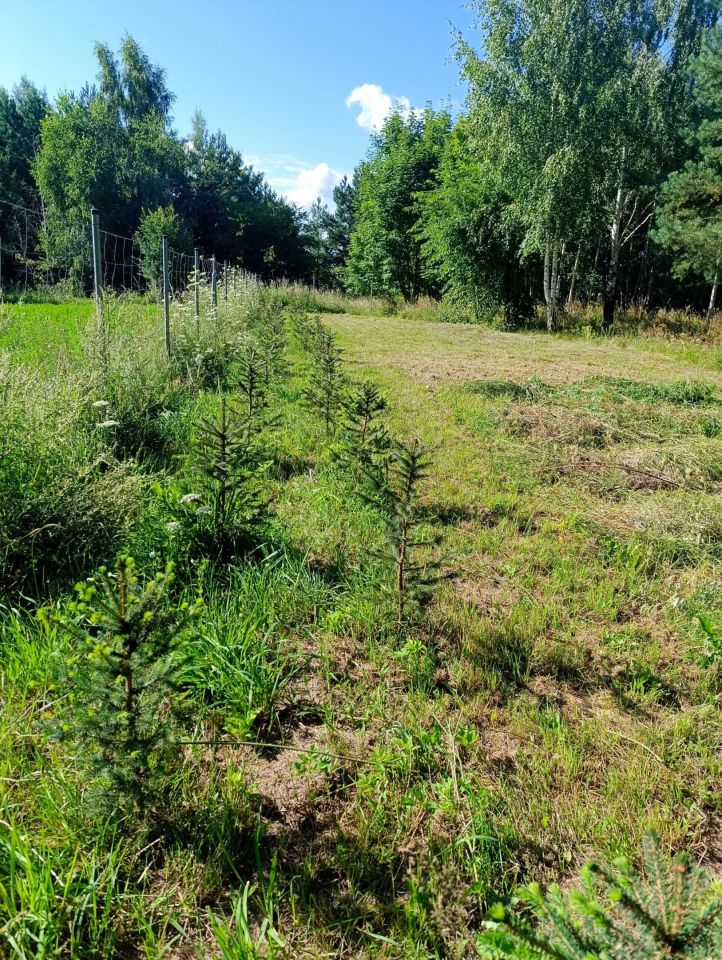 Działka budowlana Szafarnia. Zdjęcie 7