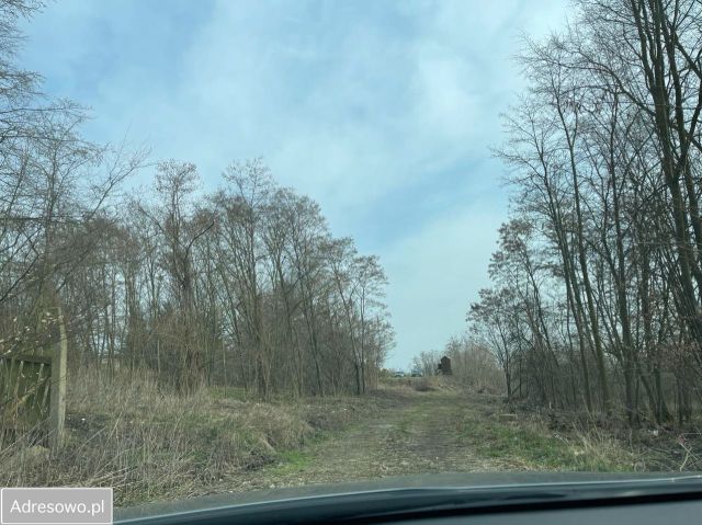 Działka budowlana Włocławek Zawiśle , ul. Brzegowa. Zdjęcie 1