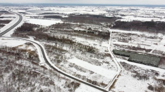 Działka inwestycyjna Borek. Zdjęcie 14