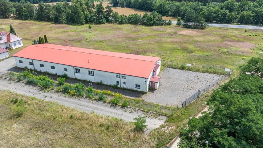 Lokal Brzeźnik. Zdjęcie 11