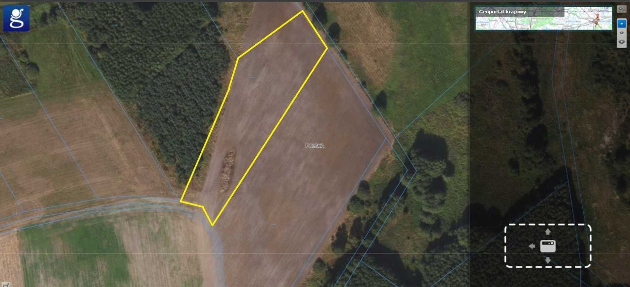 Działka rolno-budowlana Piaseczno. Zdjęcie 3