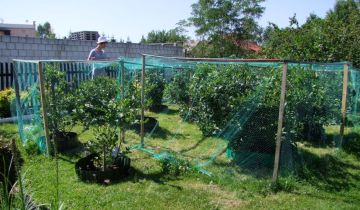 Działka rekreacyjna Skarżysko-Kamienna Dolna Kamienna, ul. Piękna