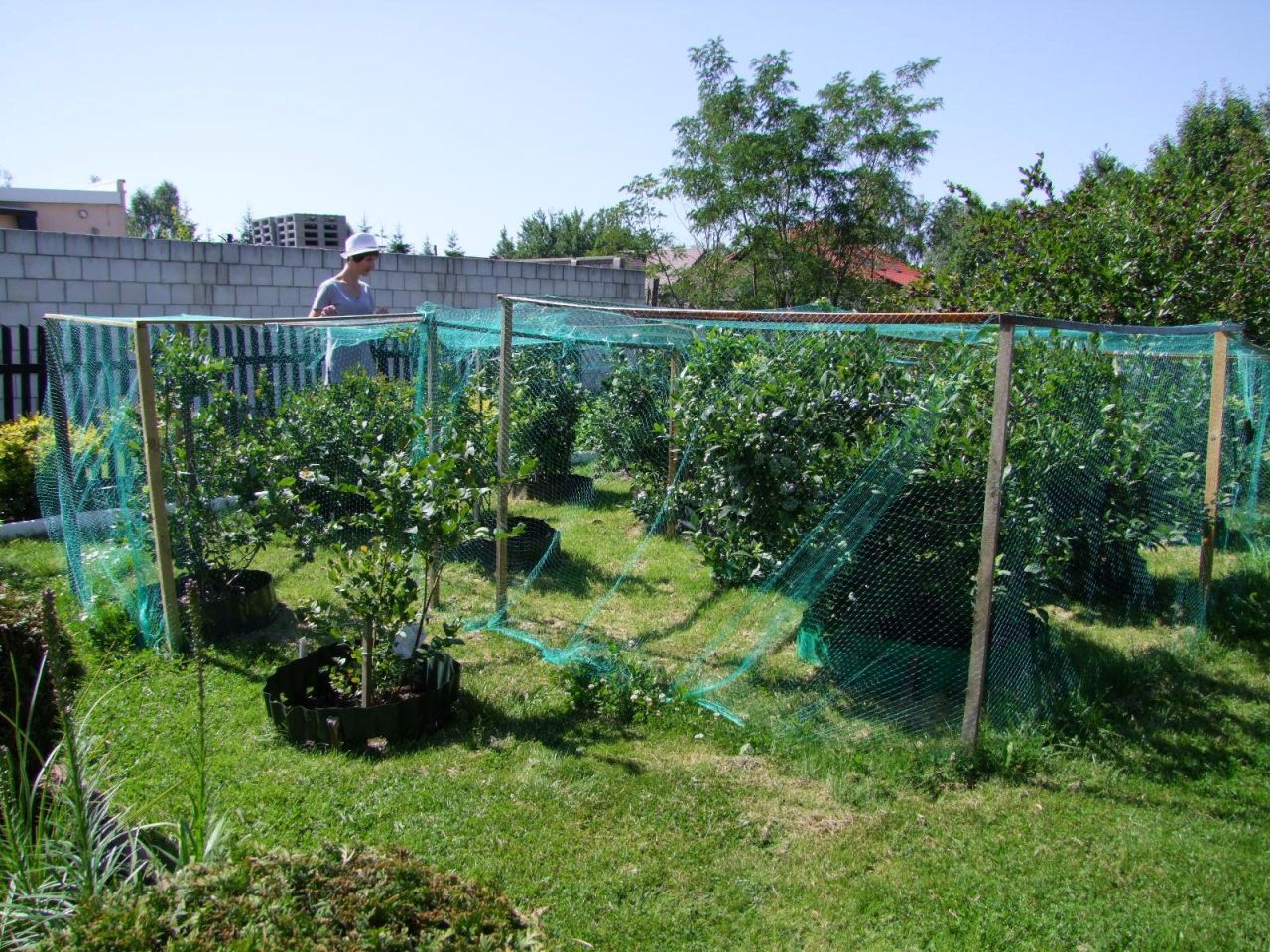 Działka rekreacyjna Skarżysko-Kamienna Dolna Kamienna, ul. Piękna. Zdjęcie 2