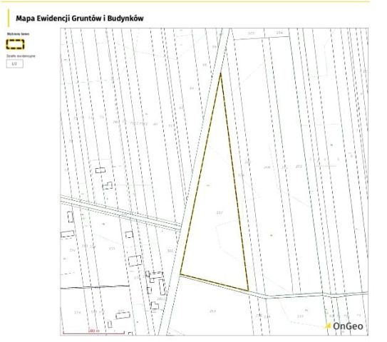 Działka rolna Zalesie-Kolonia. Zdjęcie 1