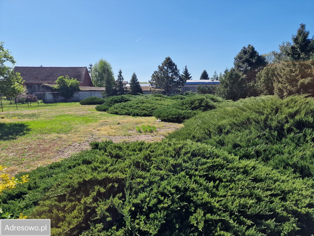 dom wolnostojący, 4 pokoje Jabłonna, ul. Kościelna. Zdjęcie 4