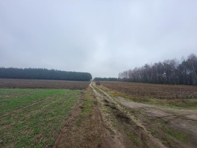 Działka rekreacyjna Nowe Miasto. Zdjęcie 4