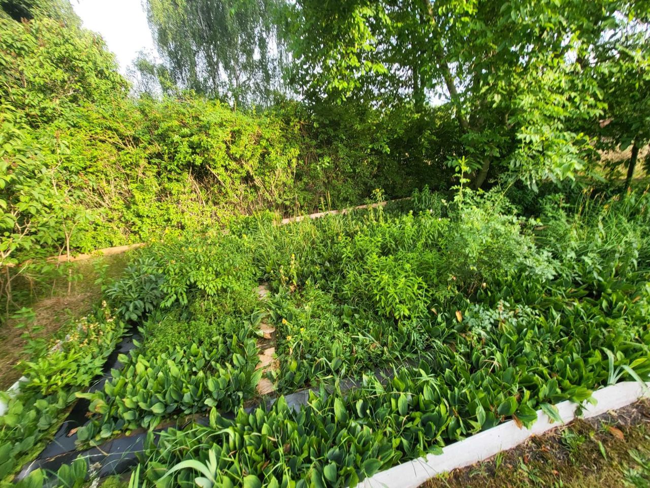 Działka rod Katowice Dąbrówka Mała, ul. Strzelców Bytomskich. Zdjęcie 2