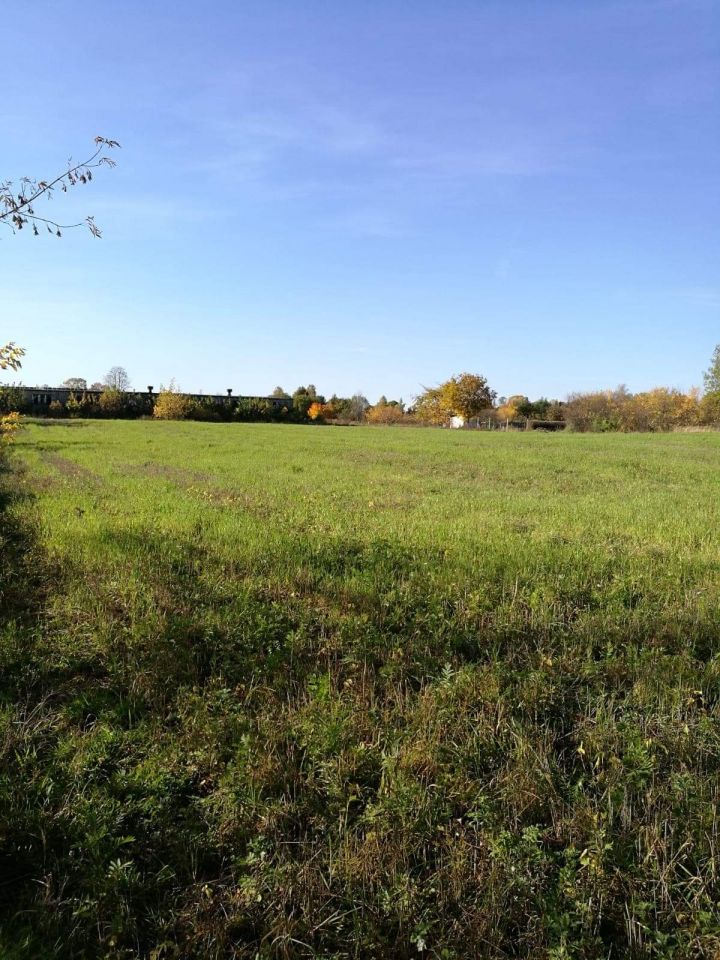 Działka budowlana Wałcz, ul. Wronia. Zdjęcie 5